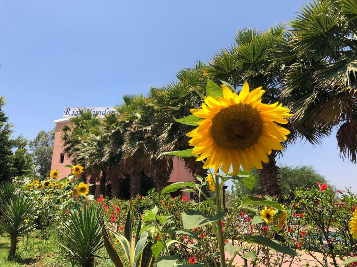 Riad Hamdani Derroua Buitenkant foto